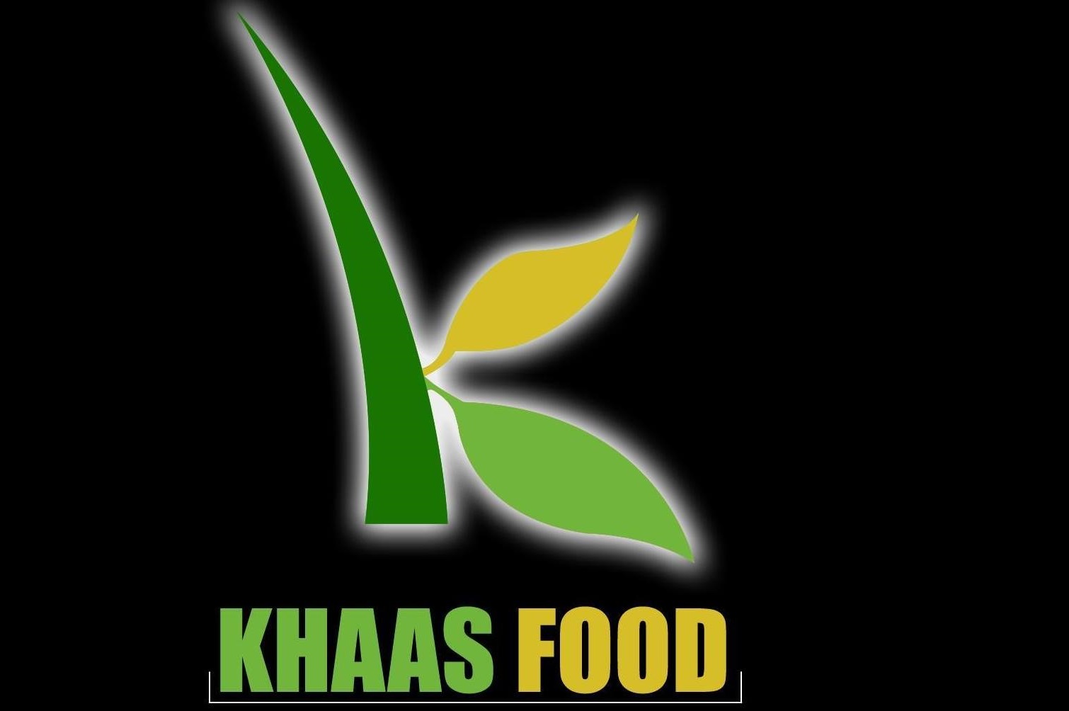 Khaas Food