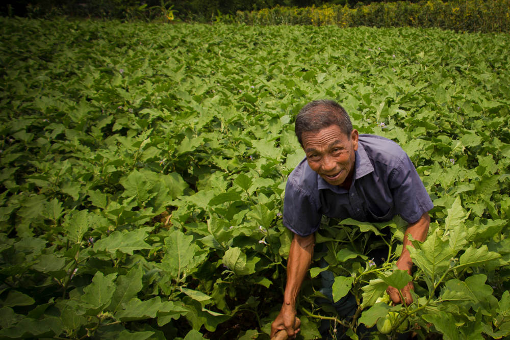With Sofol App, iFarmer Aims to Digitize Agriculture and Empower Farmers 1