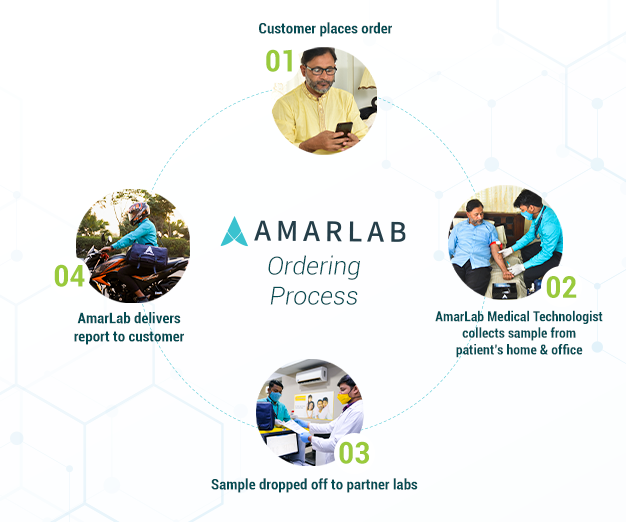 Amarlab - how it works 